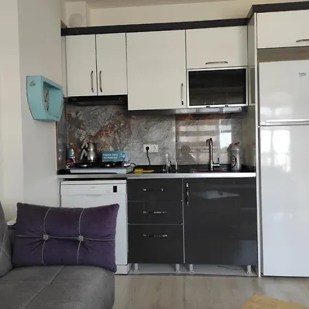 Lägenhet Aylik /sezonluk Kiralik 1+1 Klimali Yeni Dairede *